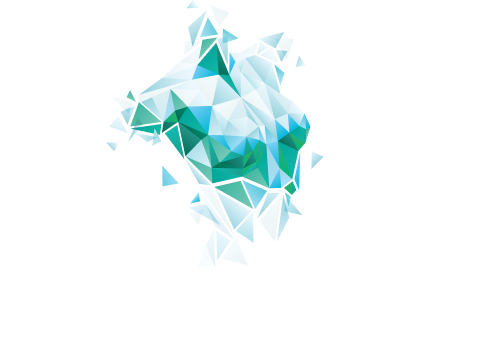 Logo Dr. Henrique Zanata